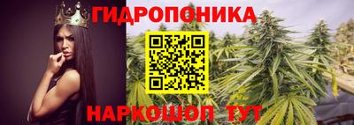 шишки Белорецк
