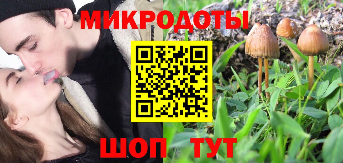 Галлюциногенные грибы GOLDEN TEACHER  Вход с VPN  Галлюциногенные грибы GOLDEN TEACHER  Качканар 