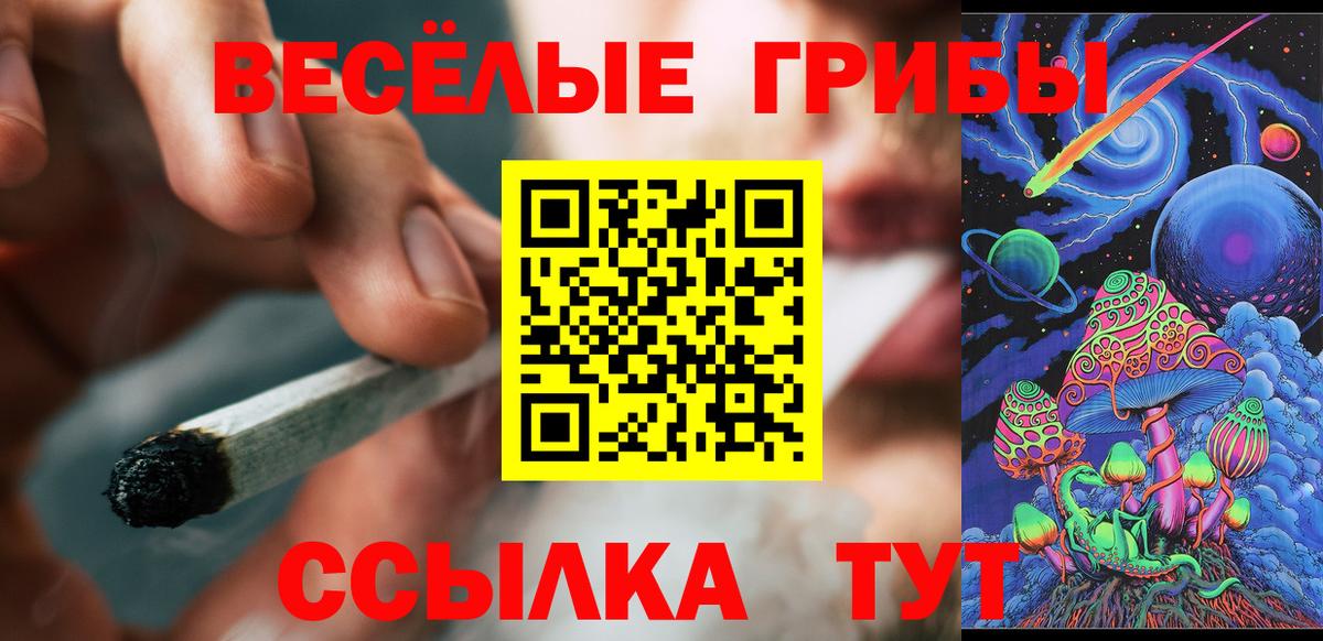 Галлюциногенные грибы Psilocybe Качканар