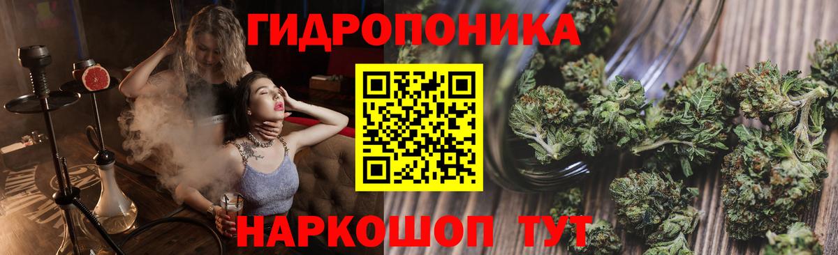 Бошки марихуана Ganja  Бошки Шишки AK-47  Качканар  Конопля тримм  Конопля индика  Вход с VPN 